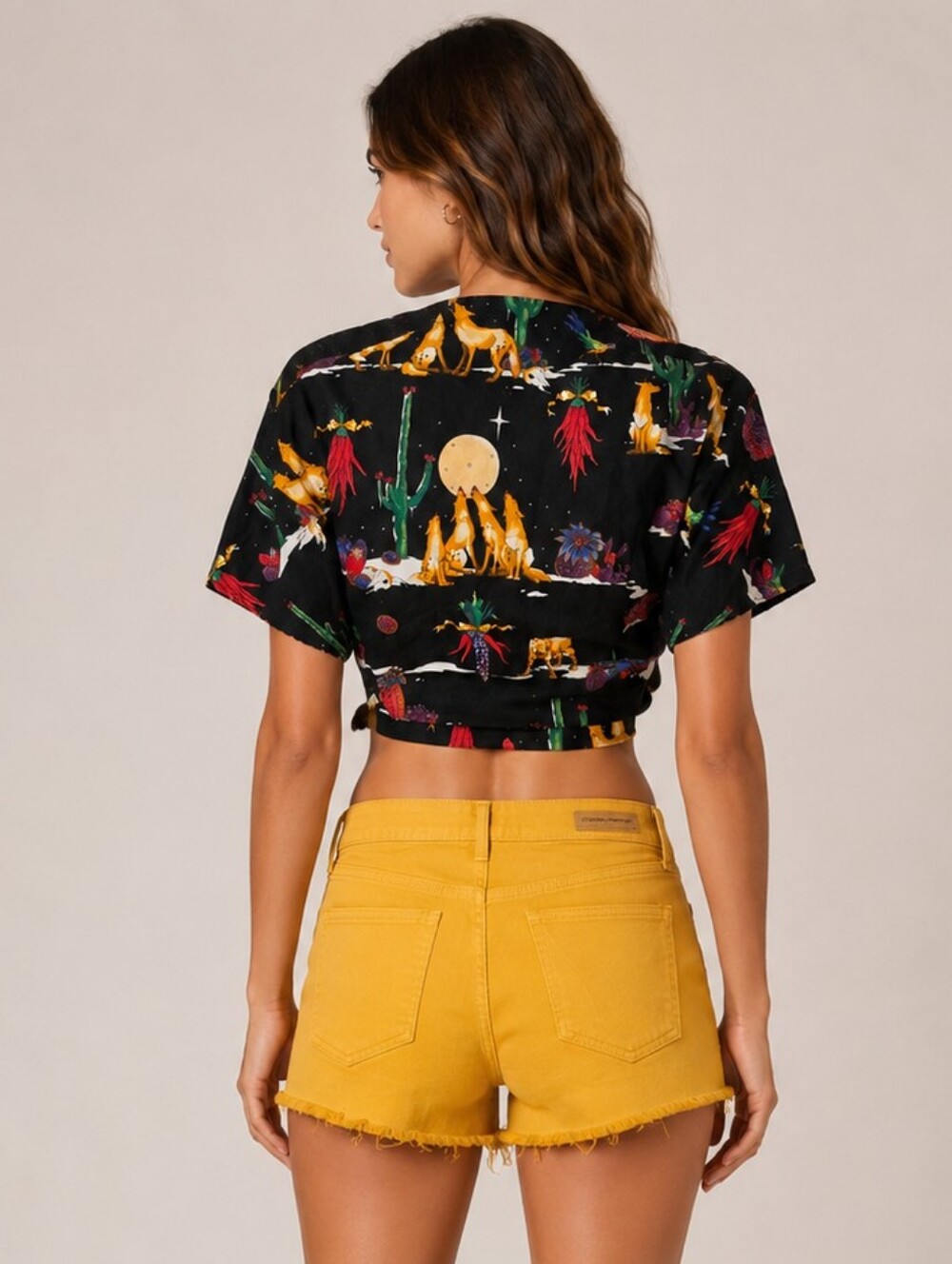 Vintage Front Tie Crop Top Desert Scene Southwestern M